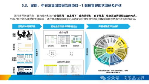 XX集團數據治理體系建設方案 數據處理與存儲服務